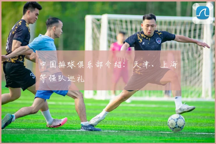 中国排球俱乐部介绍:天津、上海等强队巡礼